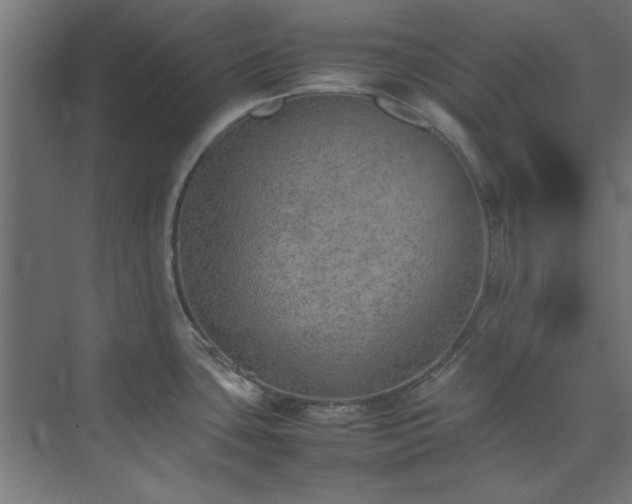 X0000074291435200608251333