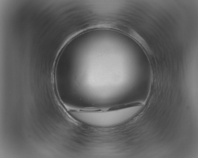 X0000074291436200608251333