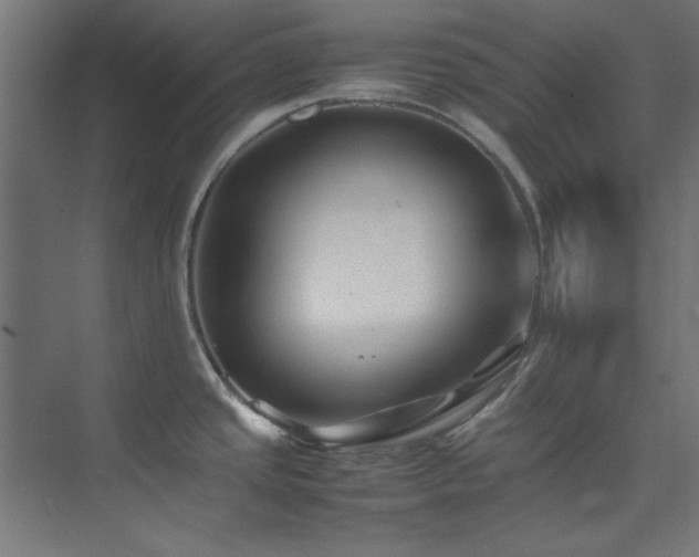 X0000074291437200608251333