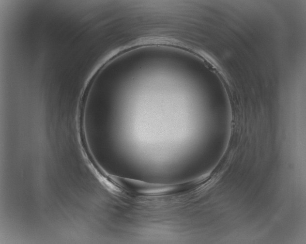 X0000074291438200608251333