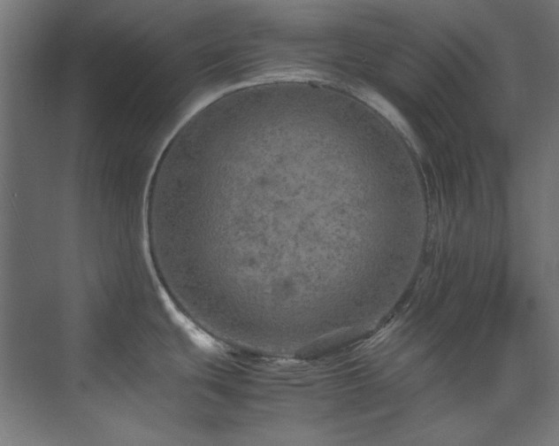 X0000074291439200608251333