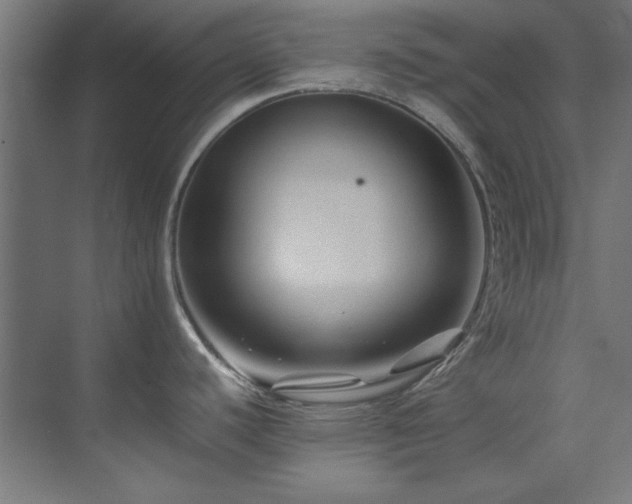 X0000074291440200608251333