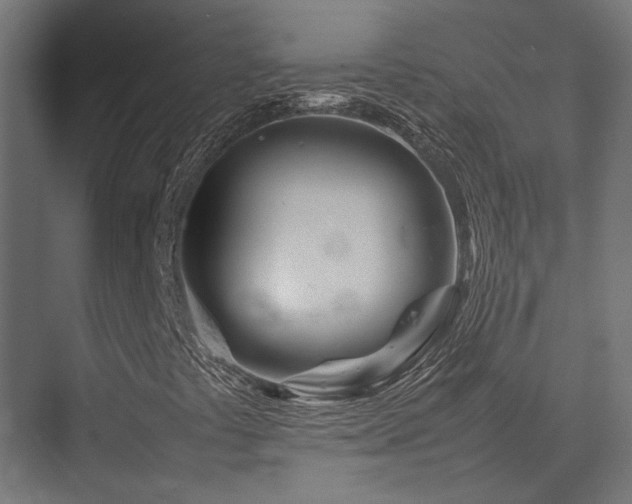 X0000074291441200608251332