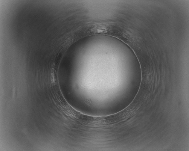 X0000074291442200608251332