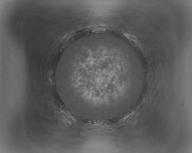 X0000074291445200608251332