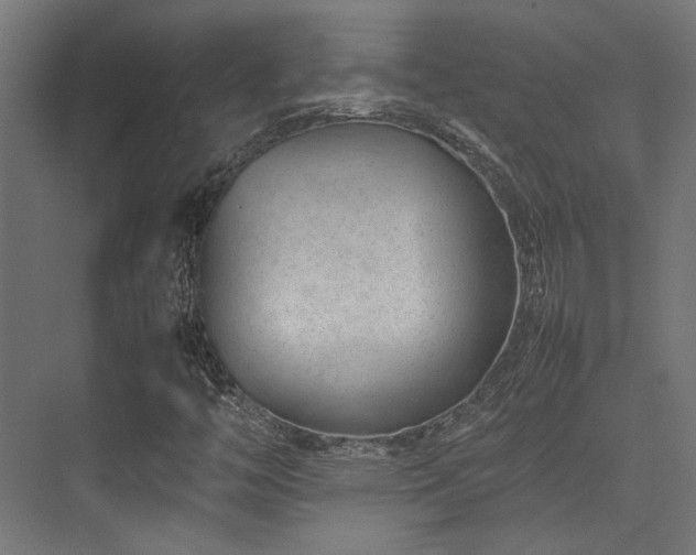 X0000074291446200608251332