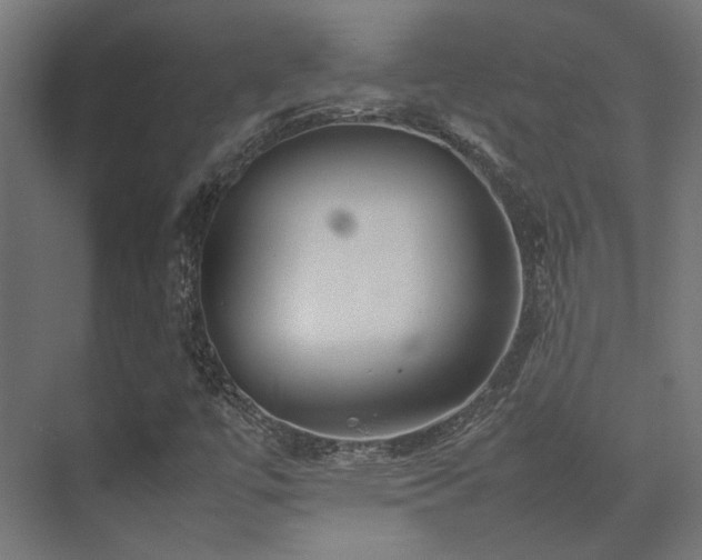 X0000074291447200608251332