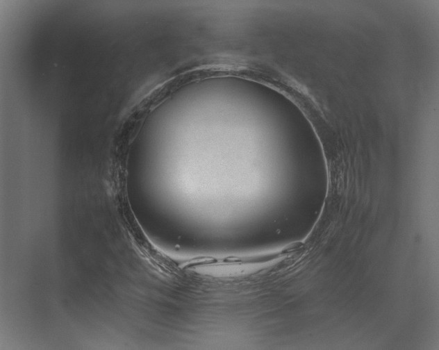 X0000074291448200608251332