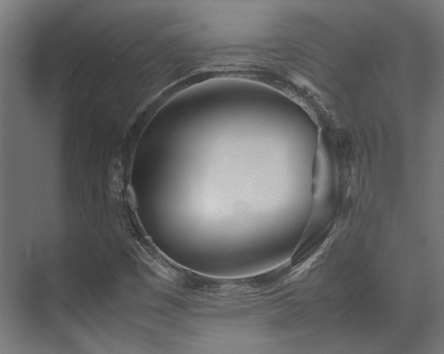 X0000074291449200608251332