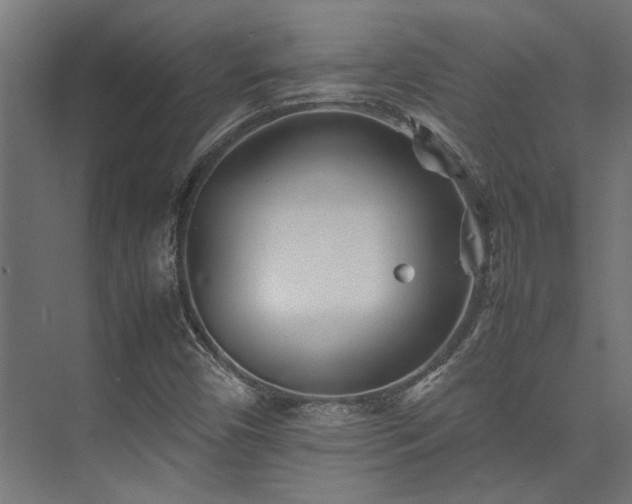 X0000074291450200608251332