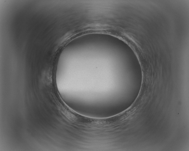 X0000074291451200608251332