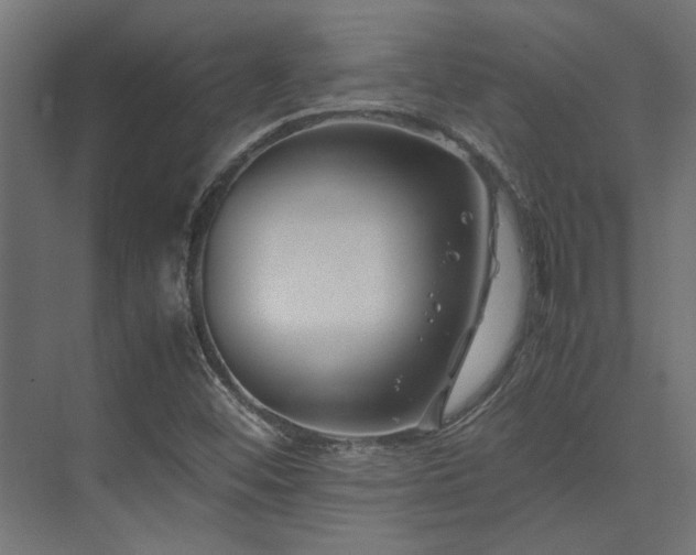 X0000074291452200608251332