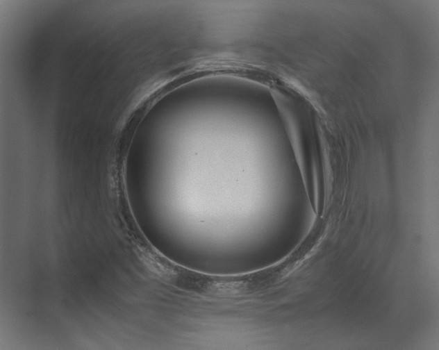 X0000074291453200608251332