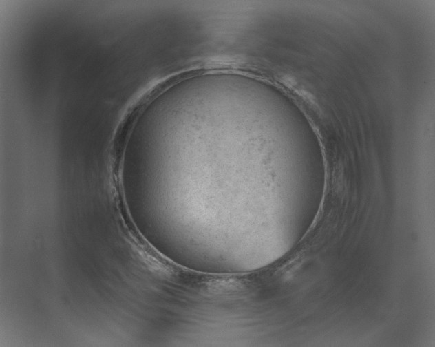 X0000074291454200608251332