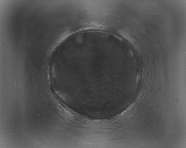 X0000074291455200608251332