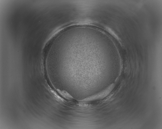 X0000074291456200608251332