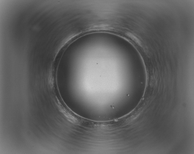 X0000074291458200608251332