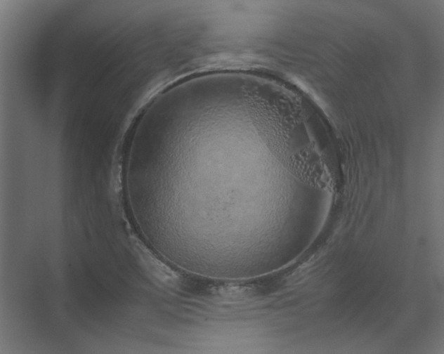 X0000074291459200608251332