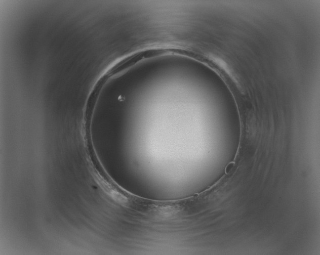 X0000074291460200608251332