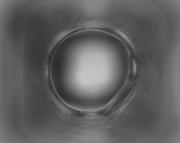 X0000074291461200608251332