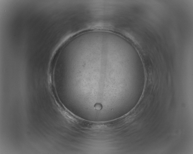 X0000074291462200608251332