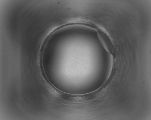 X0000074291463200608251332