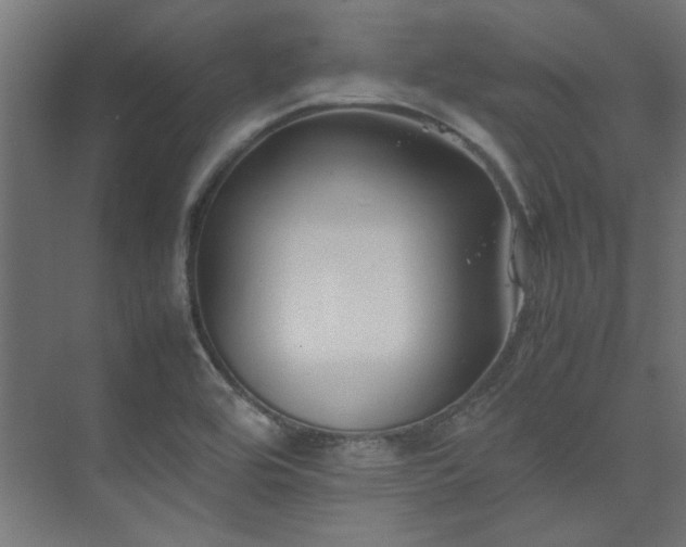 X0000074291464200608251332