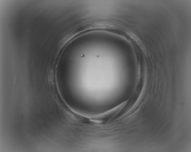 X0000074291465200608251332