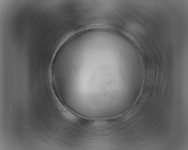 X0000074291466200608251332