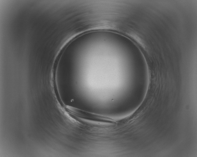 X0000074291468200608251331