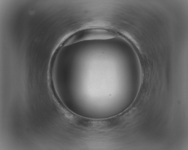 X0000074291469200608251331