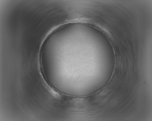 X0000074291470200608251331