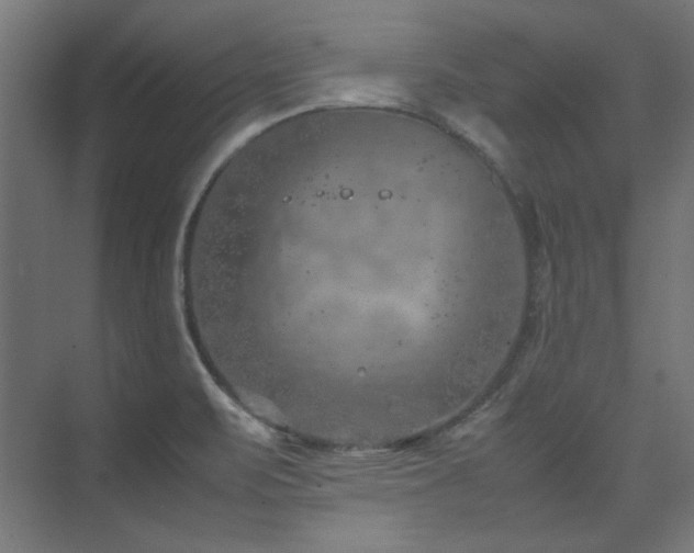 X0000074291471200608251331