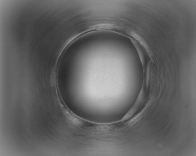 X0000074291473200608251331