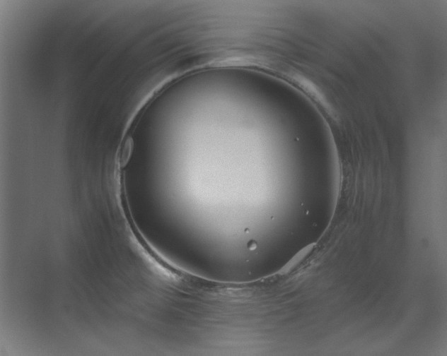 X0000074291476200608251331