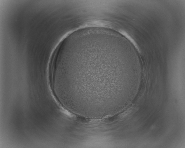 X0000074291477200608251331