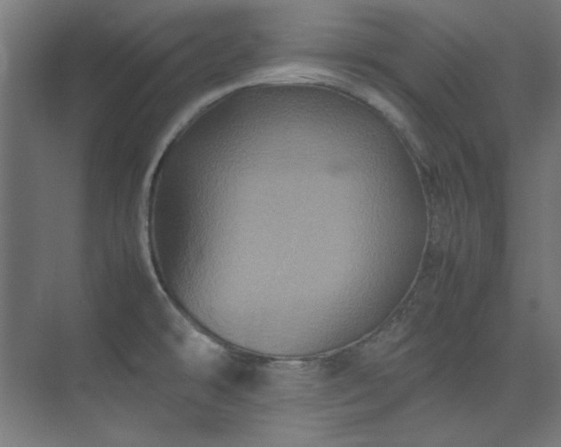 X0000074291478200608251331