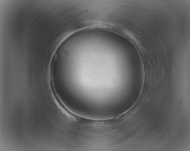 X0000074291479200608251331