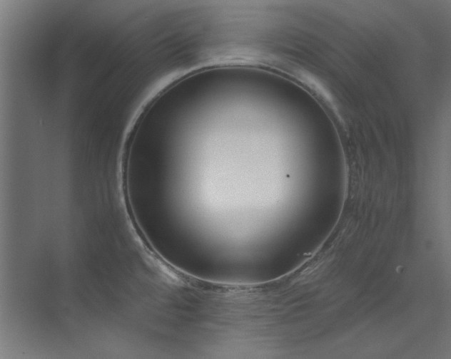 X0000074291480200608251331