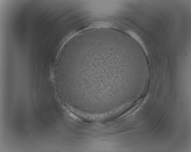 X0000074291481200608251331