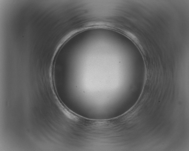 X0000074291482200608251331