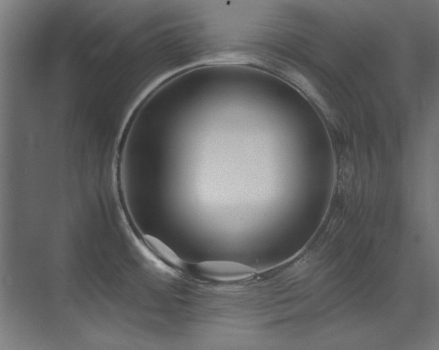 X0000074291484200608251331