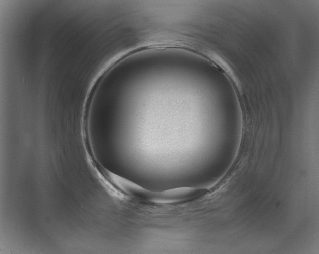 X0000074291485200608251331