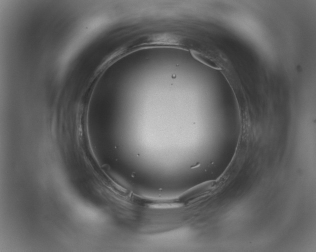 X0000074291487200608251331