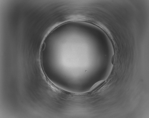 X0000074291488200608251331