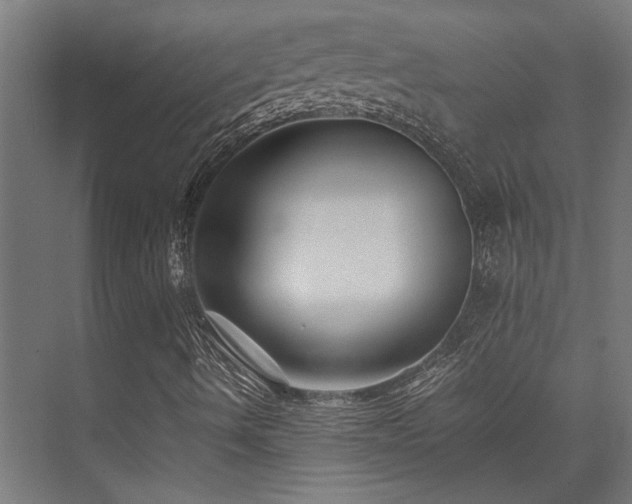 X0000074291490200608251330