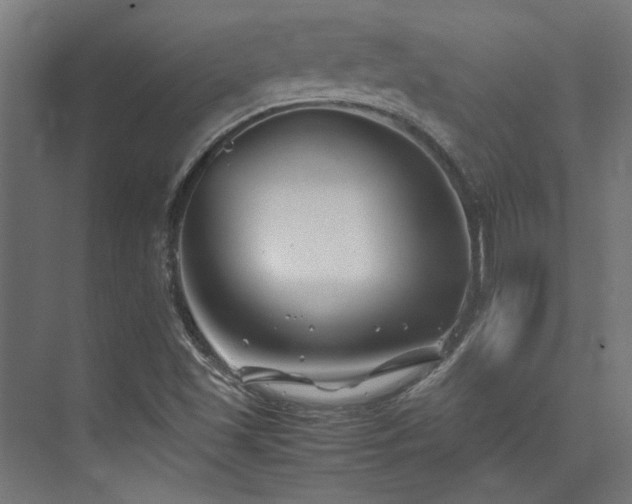 X0000074291501200608251331