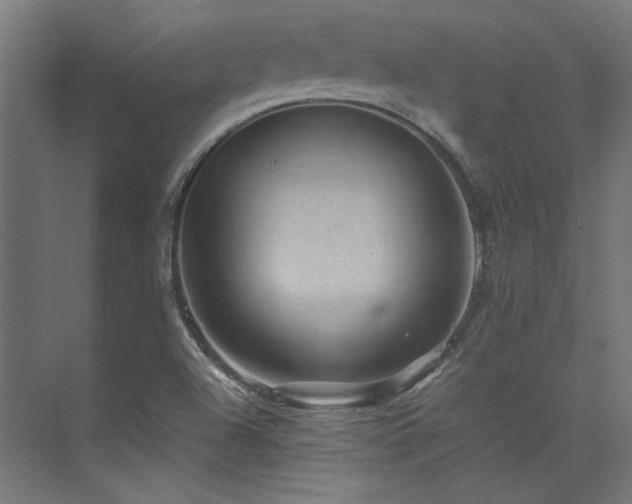 X0000074291504200608251331