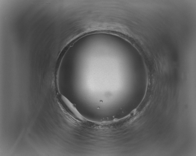 X0000074291505200608251331