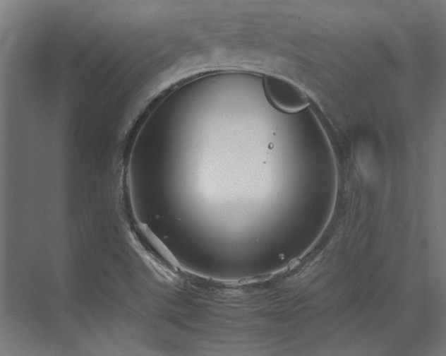 X0000074291507200608251331